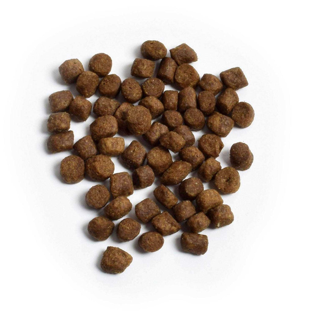 Grain Free Turkey & Chicken Dry Dog Food S937959