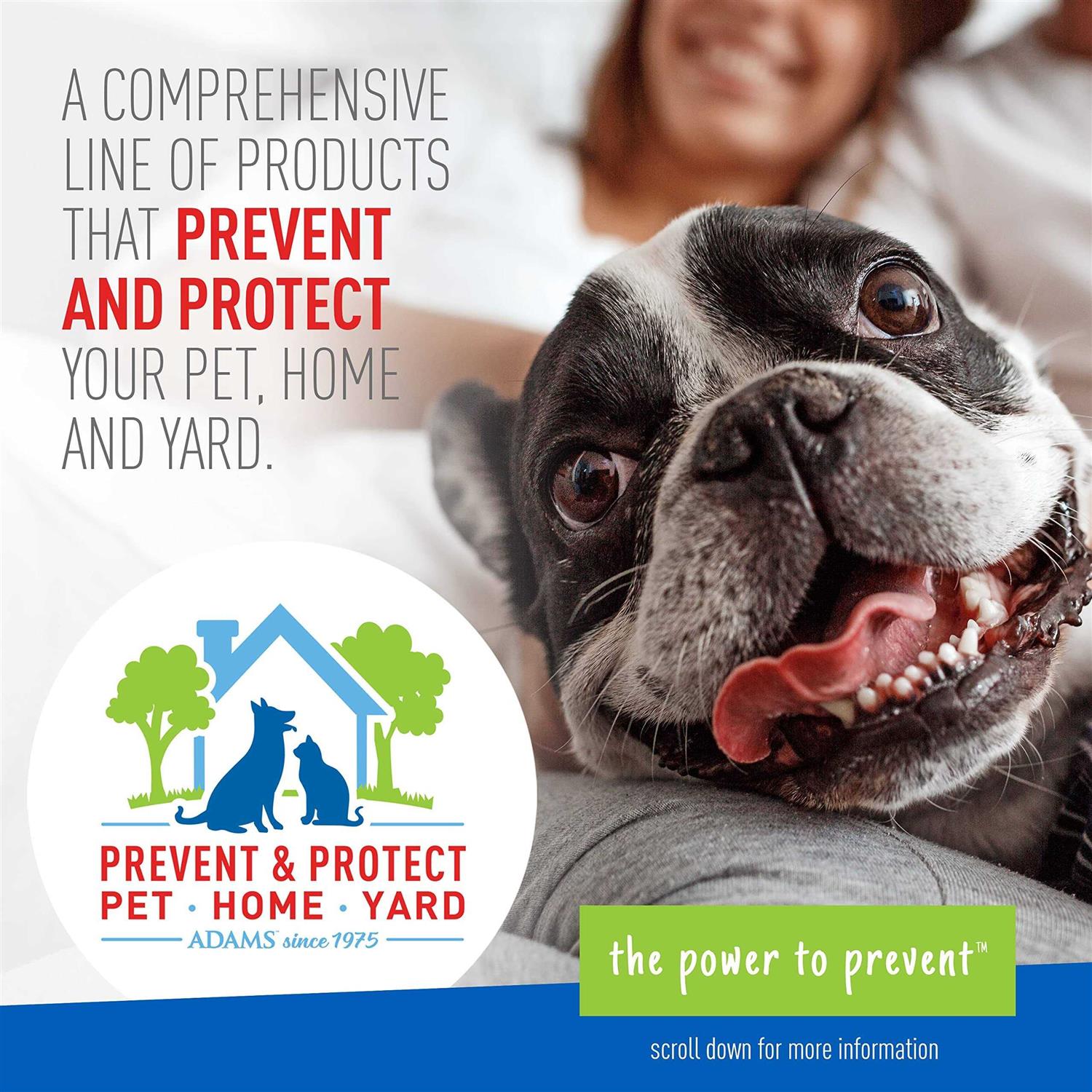 Flea and Tick Shampoo for Dogs and Cats H2778
