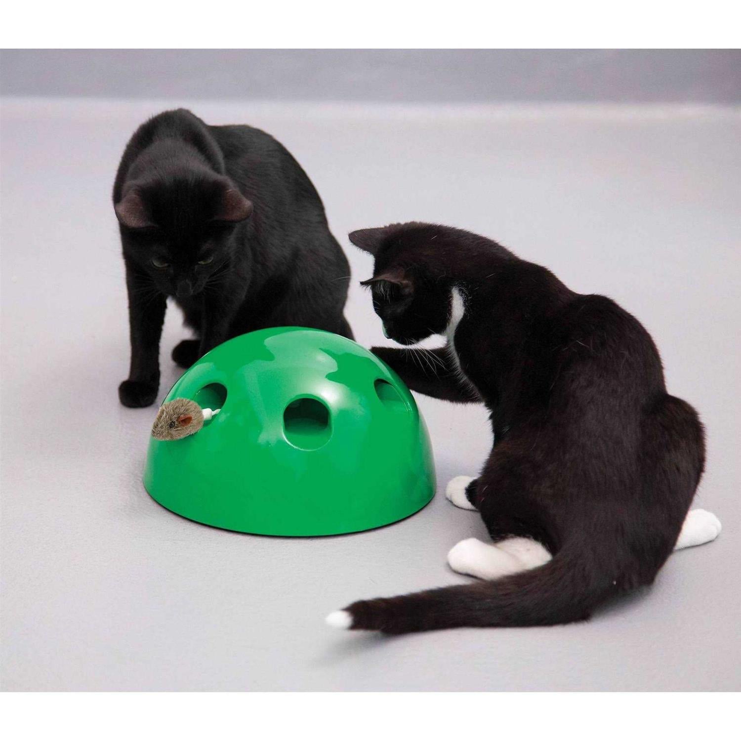 Cat Toy C2467