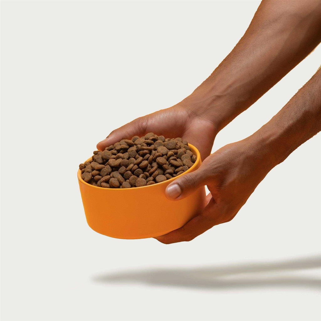 Chicken Brown Rice & Sweet Potato Dry Dog Food U7638