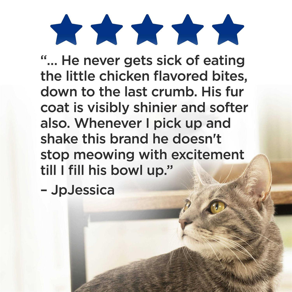 Complete Dry Cat Food E15458