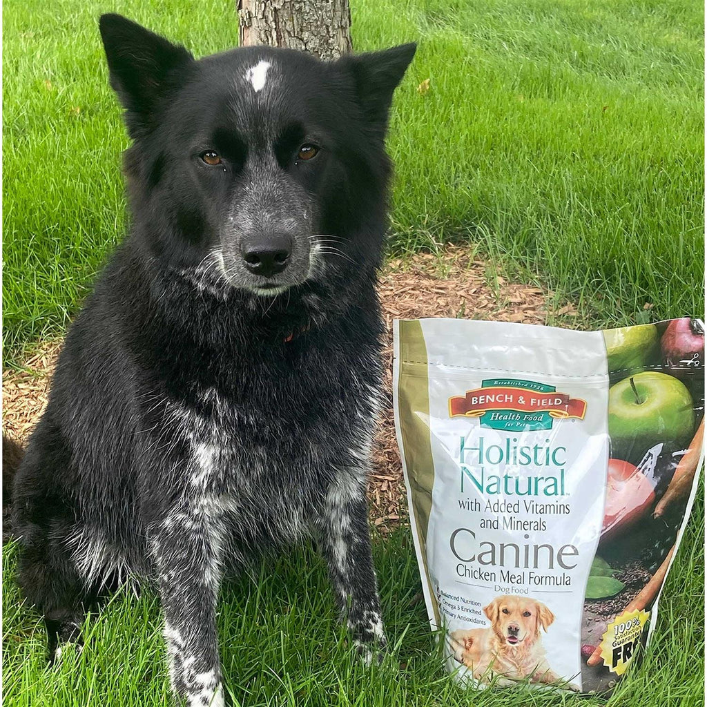Holistic Natural Adult Dry Dog Food, Chicken Meal and Brown Rice Recipe 6.6 lb Bag E486