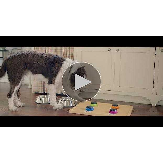 Dry Dog Food Real Chicken & Veggies Recipe X89531
