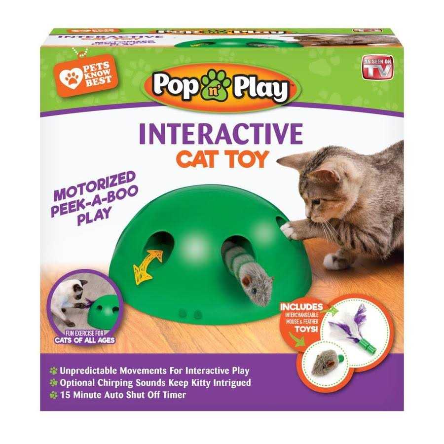 Cat Toy C2467