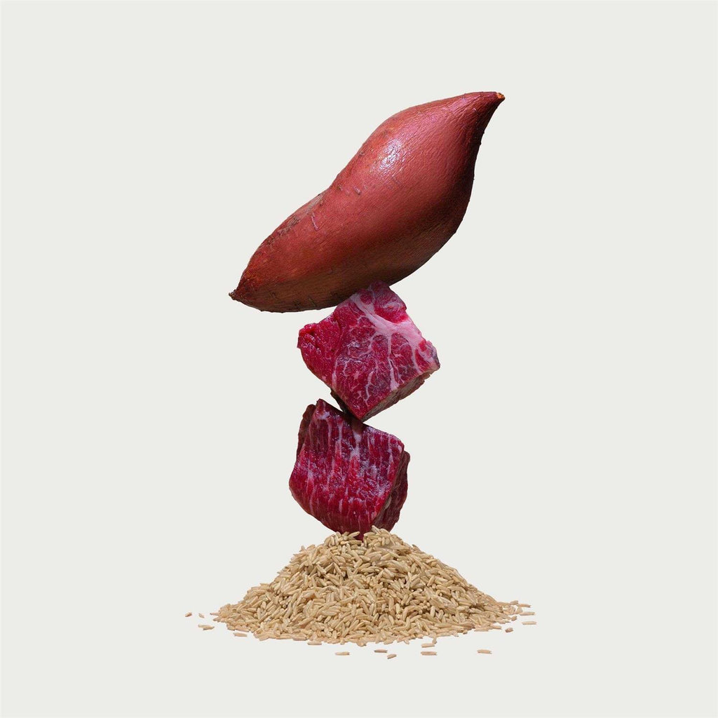 Beef Brown Rice & Sweet Potato Dry Dog Food V22006
