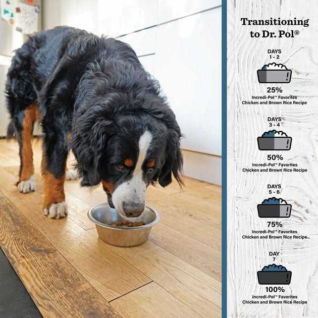 Chicken & Brown Rice Dog Food N809814
