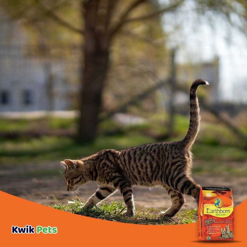 Primitive Feline Dry Food Q7218