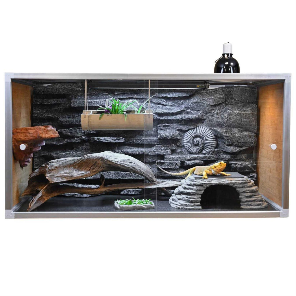 Bearded Dragon Enclosure 4x2x2 Wood B428