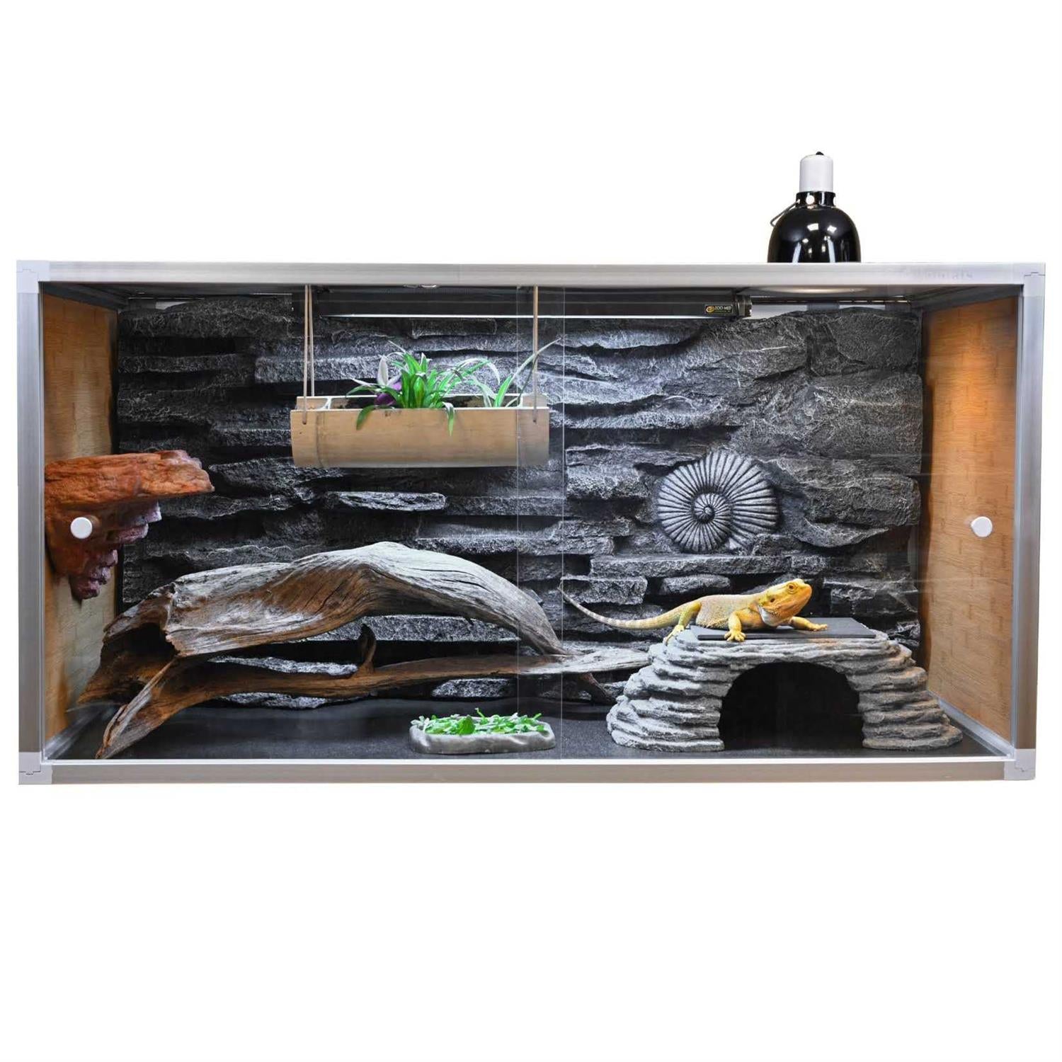 Bearded Dragon Enclosure 4x2x2 Wood B428