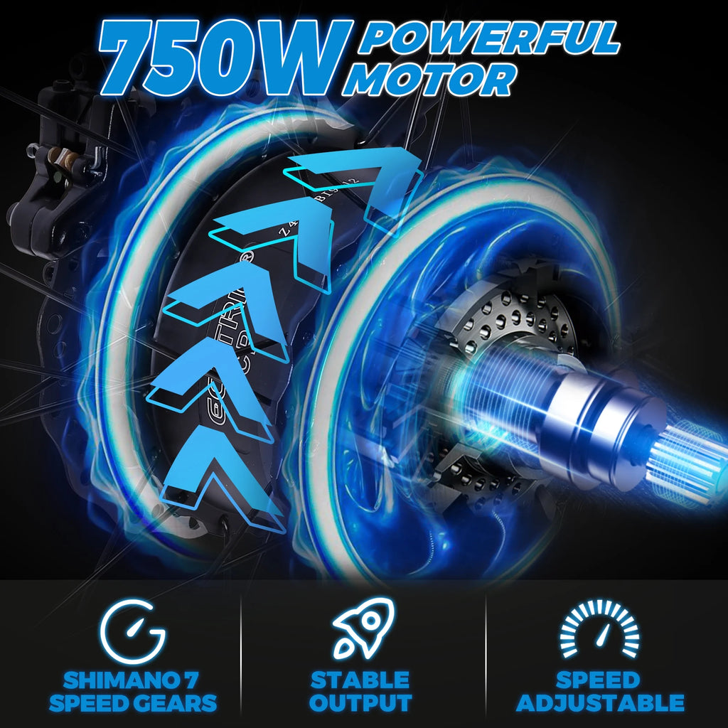 Electric Bike Fat Tire 26" Adults Aluminum Frame 750W Motor 48V 12.5AH S993