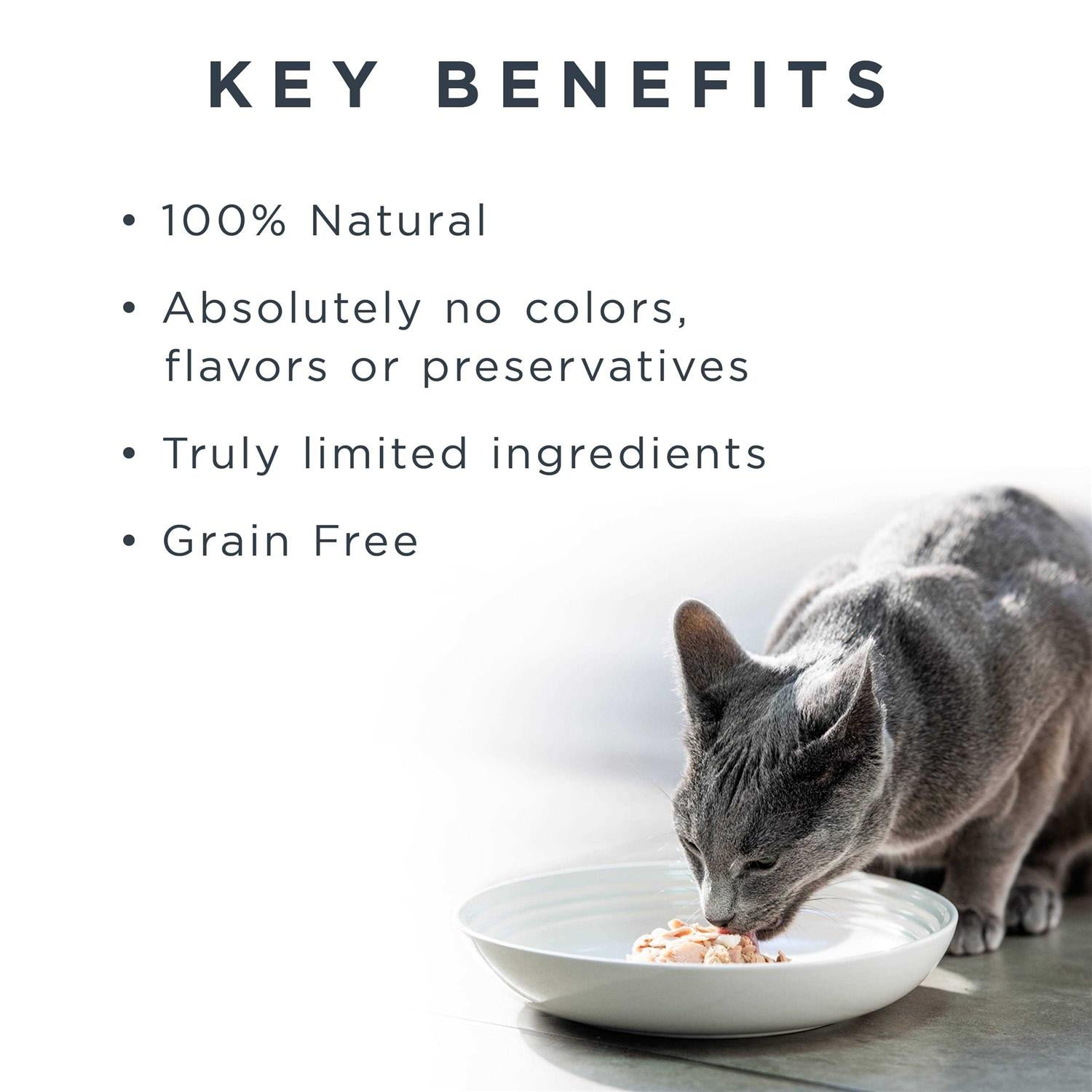 Cat Food Grain Free Chicken in Broth V783