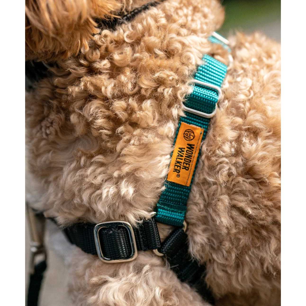 Body Halter Dog Harness X491