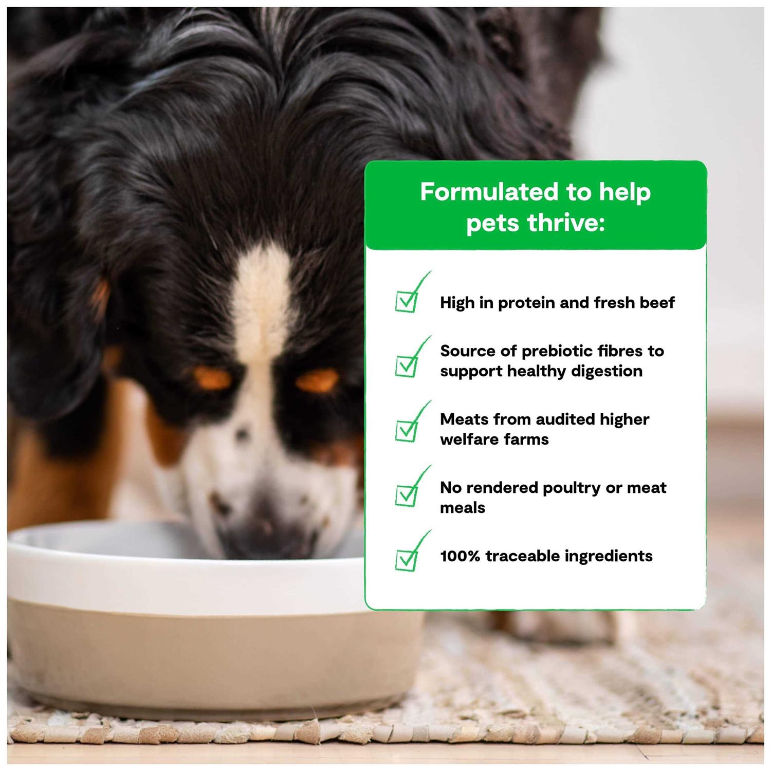 Grass Fed Beef Grain Free Dry Dog Food T228580