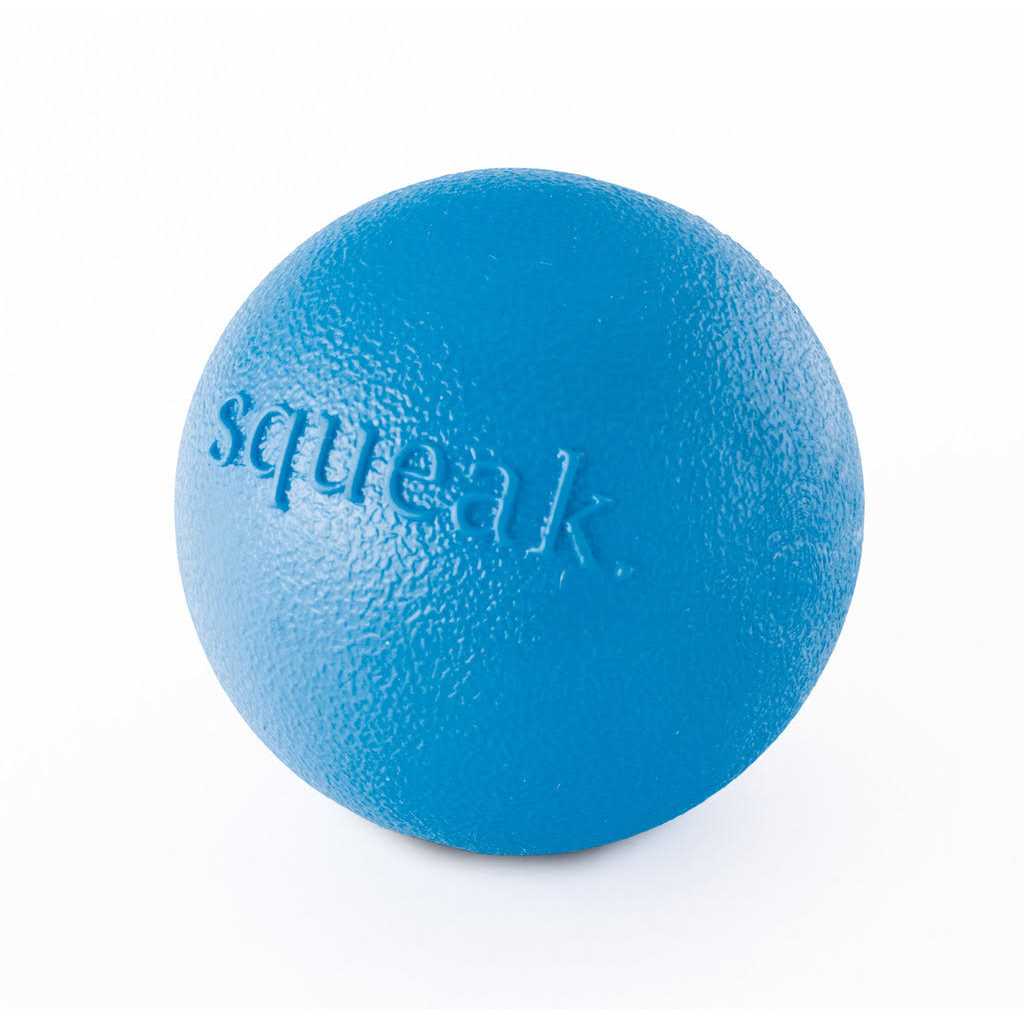 Squeak Toy Ball for Dogs O922