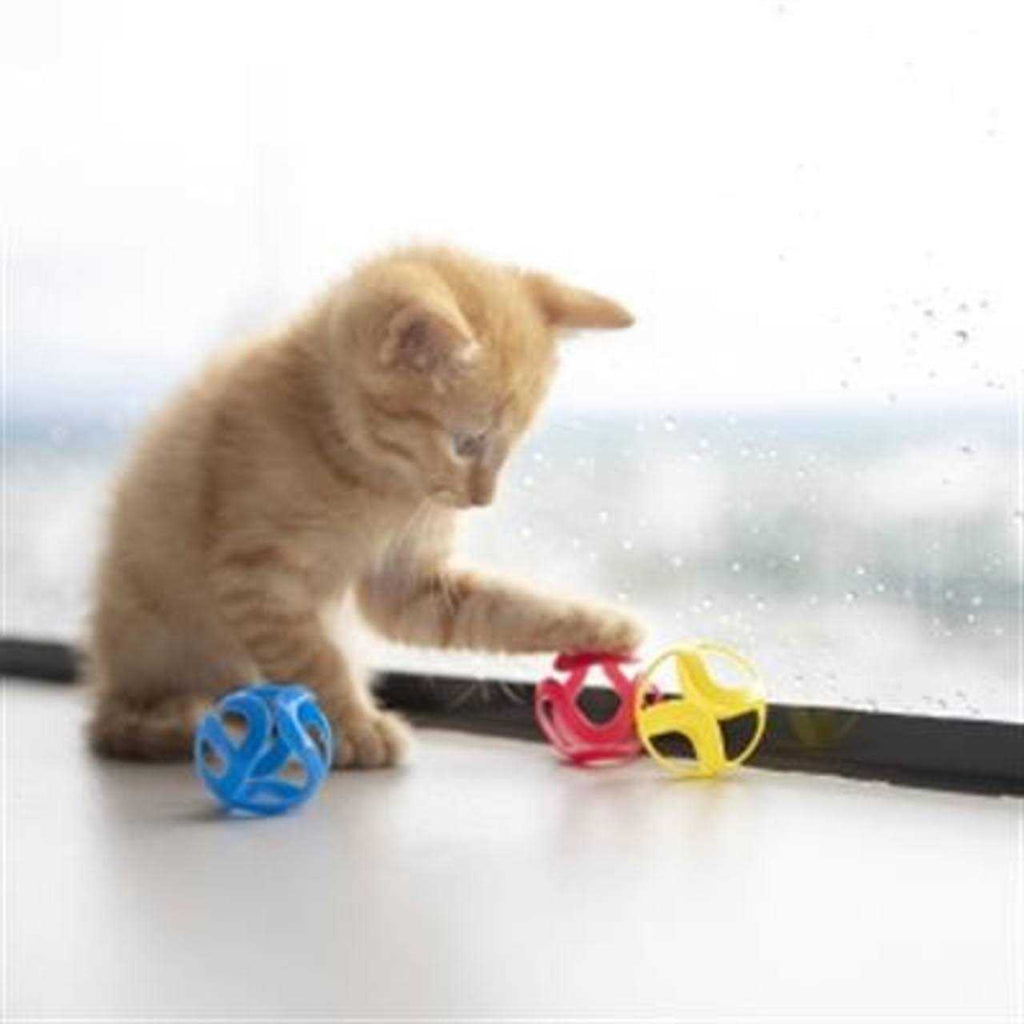 Cat Toy D649149