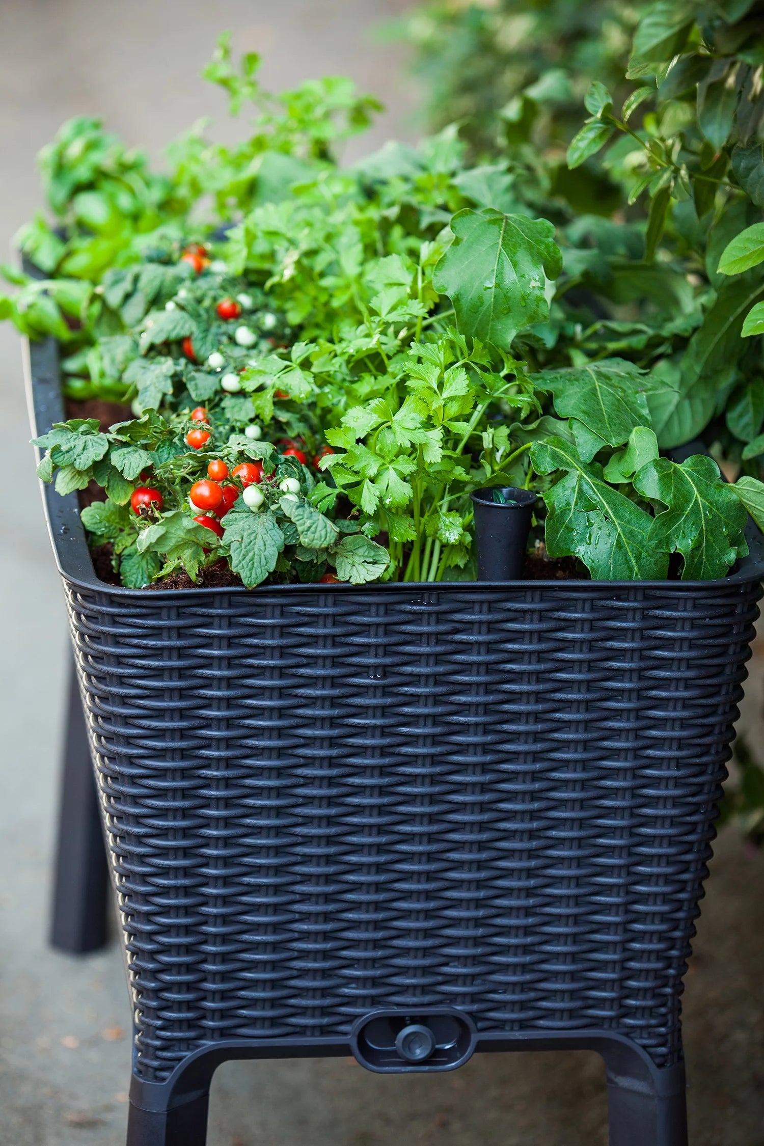 Elevated Garden Bed, Anthracite M82653
