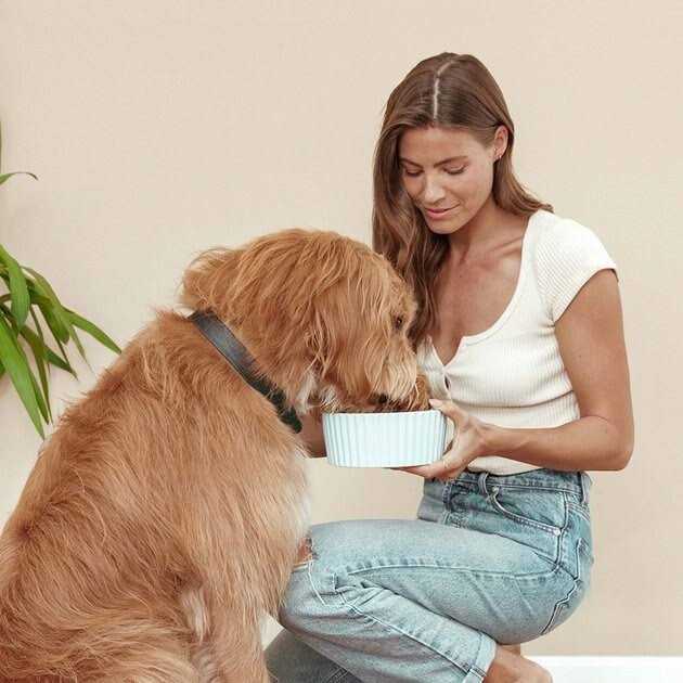 Chicken Sweet Potato & Carrot Dry Dog Food U849