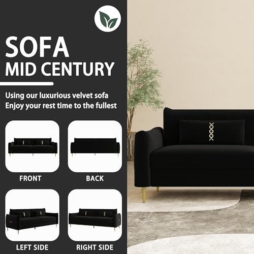 3-Seat Velvet Couch with Solid Wood Frame and Pillows B481145