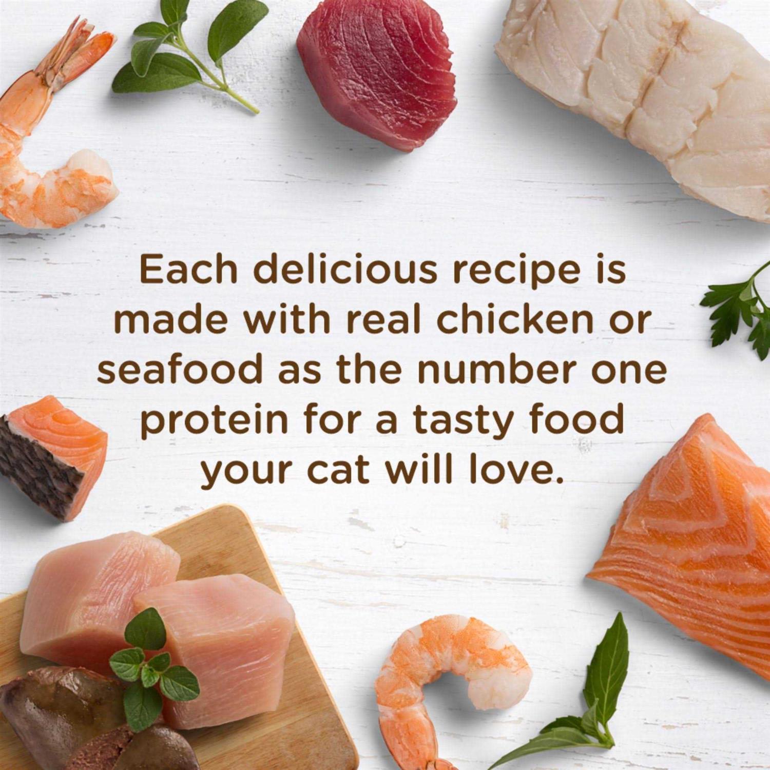 Grain-Free Wet Cat Food Chicken Recipe J988