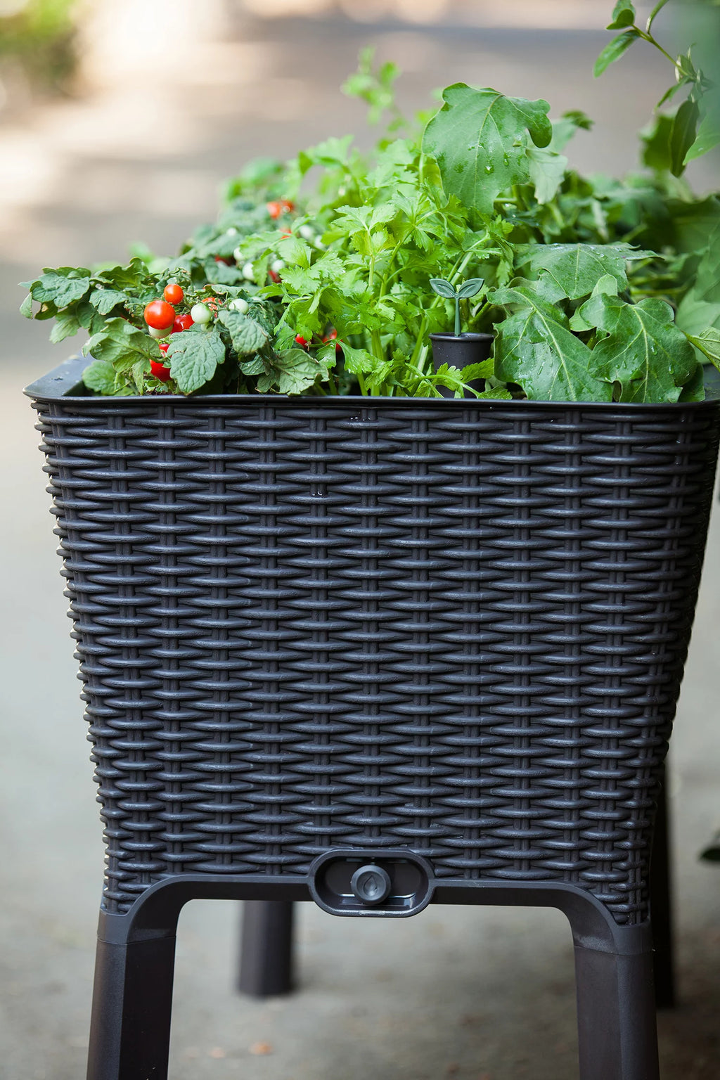 Elevated Garden Bed, Anthracite M82653