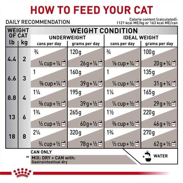 Gastrointestinal Loaf in Sauce Canned Cat Food B490884