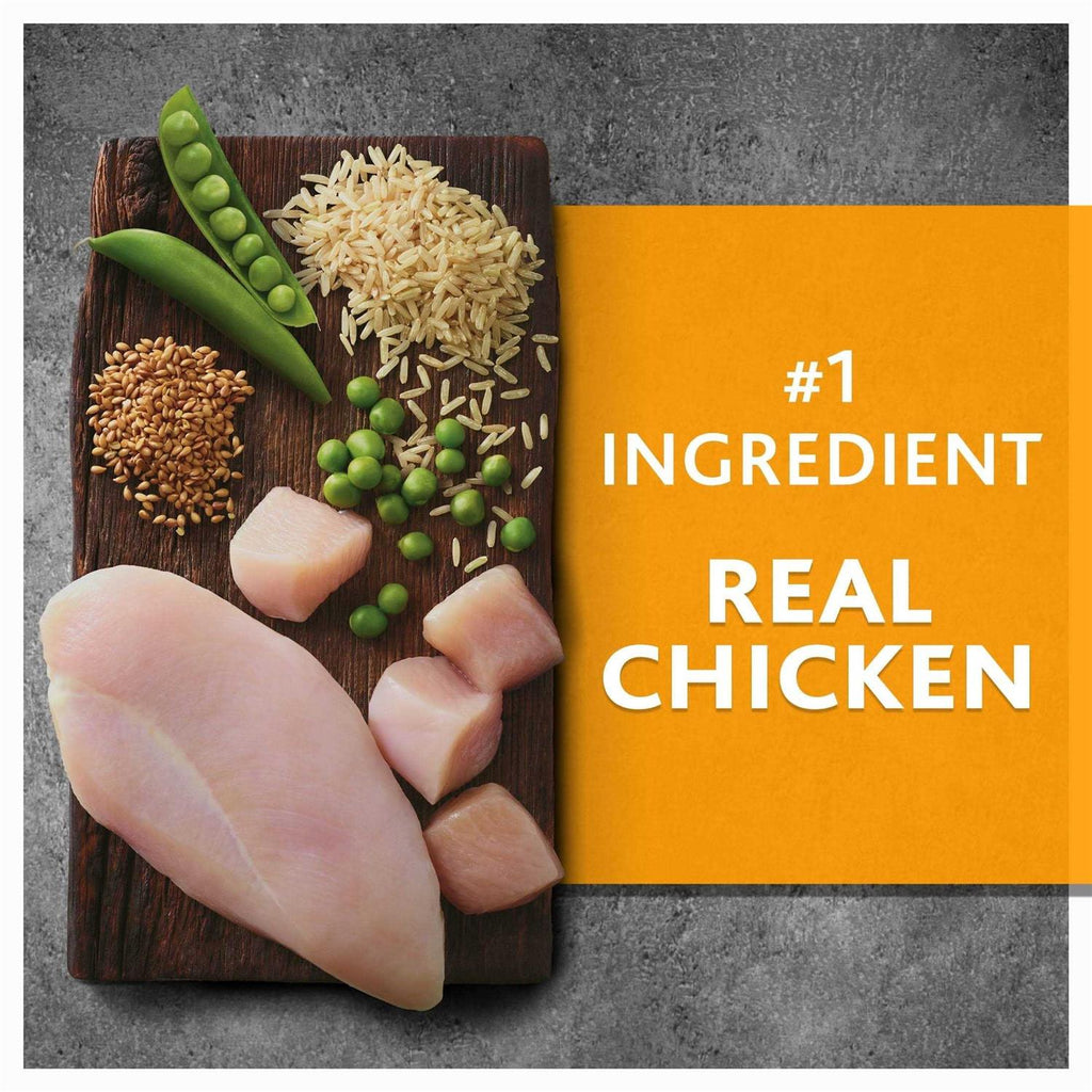 Chicken and Brown Rice Recipe Dry Dog Food V480368