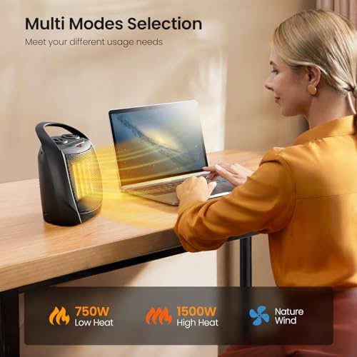 Small Electric Ceramic Space Heater with Adjustable Thermostat, 750W/1500W J550