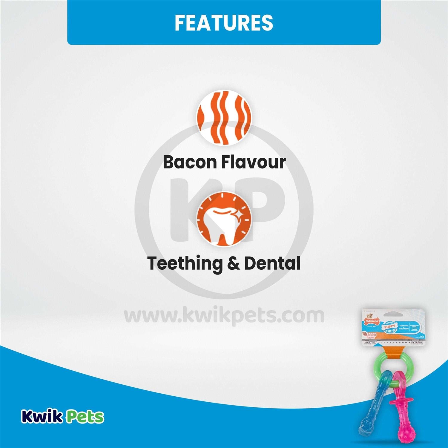 Puppy Chew Teething Pacifier R617