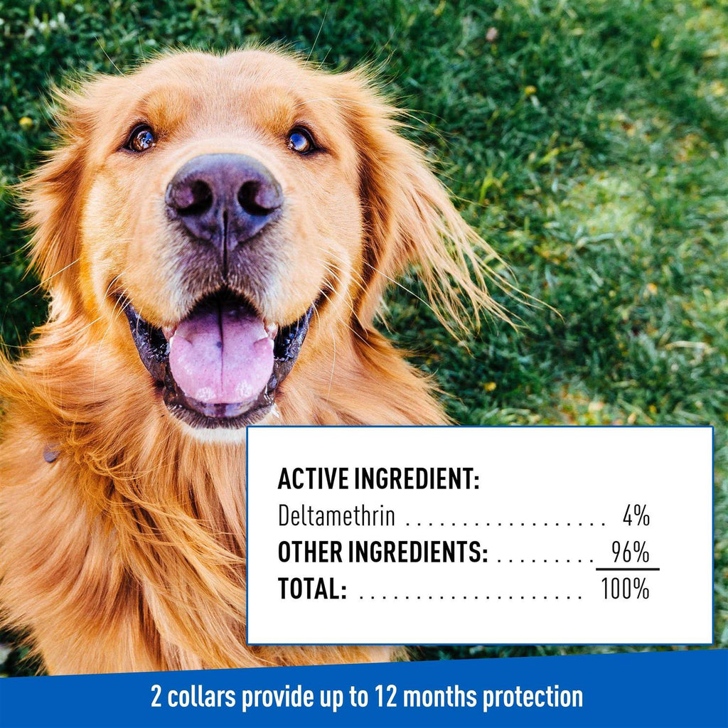 Flea Tick Collar for Dogs Puppies N82792