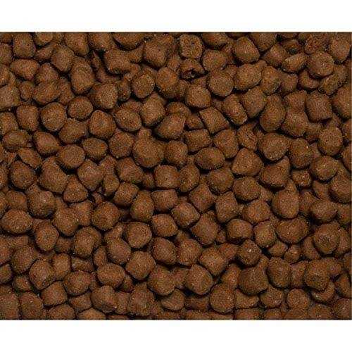 Dry Dog and Cat Food J198