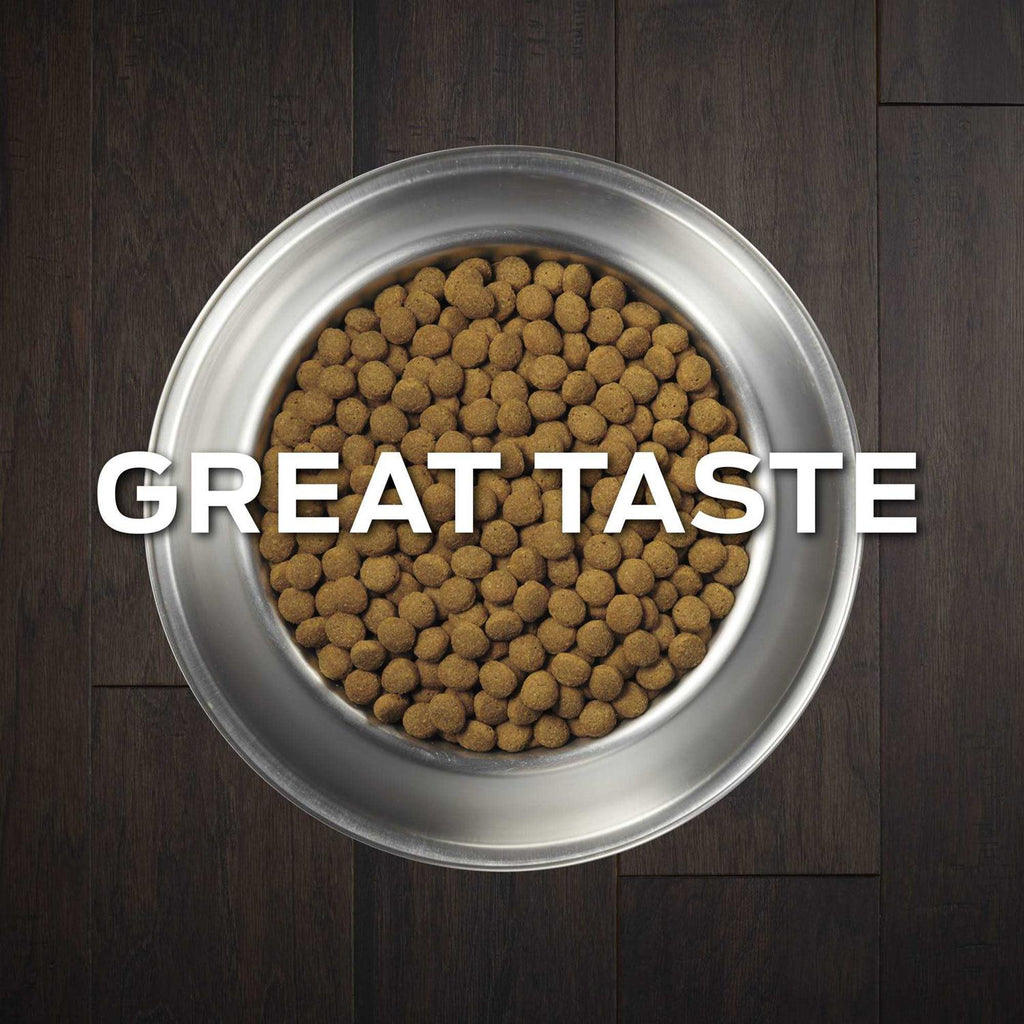 Joint Mobility Dry Dog Food N2582