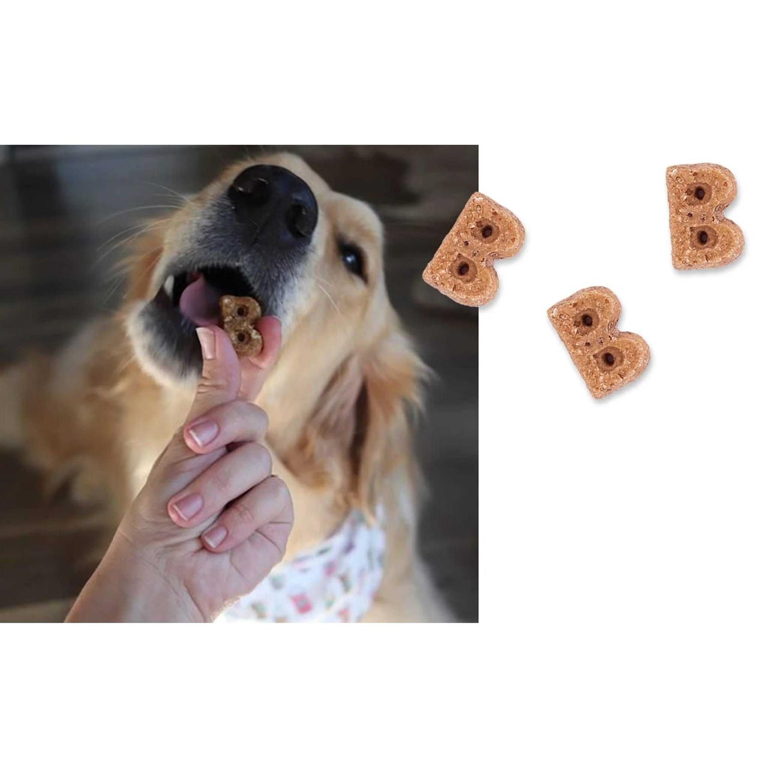 Berry Sorbet Soft Chewy Dog Treats S4882