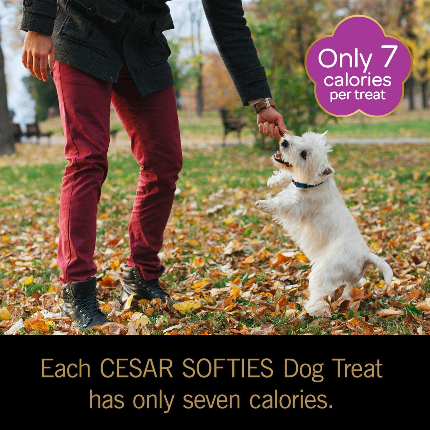 Soft Dog Treats M69197