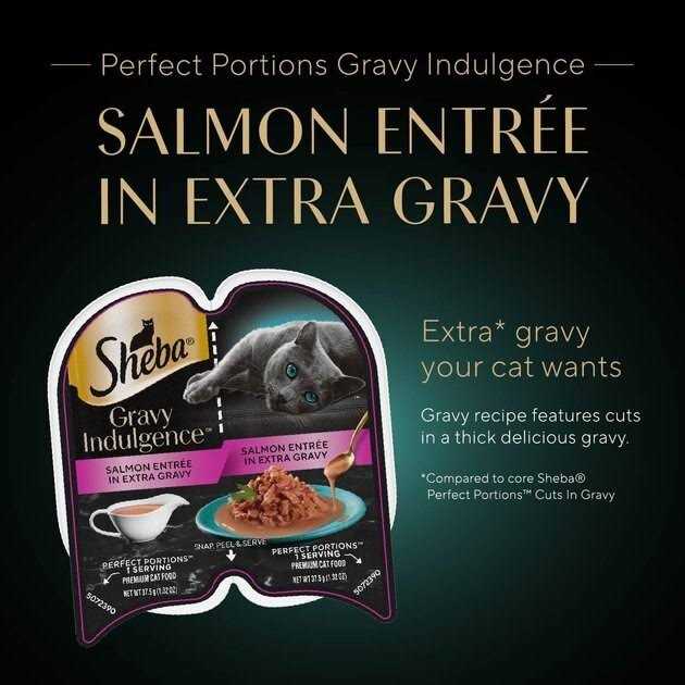 Wet Cat Food with Gravy for Adult Cats Q249352