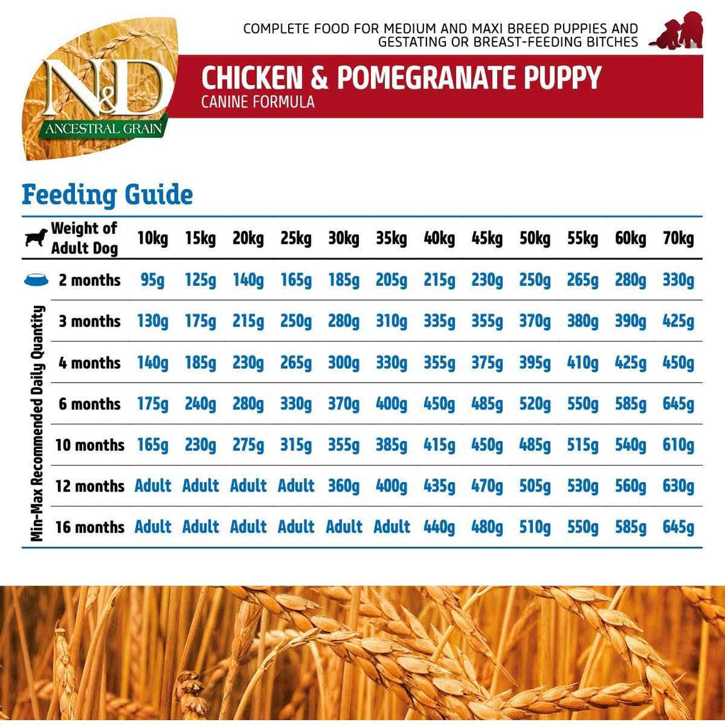 Chicken & Pomegranate Dry Dog Food V82703