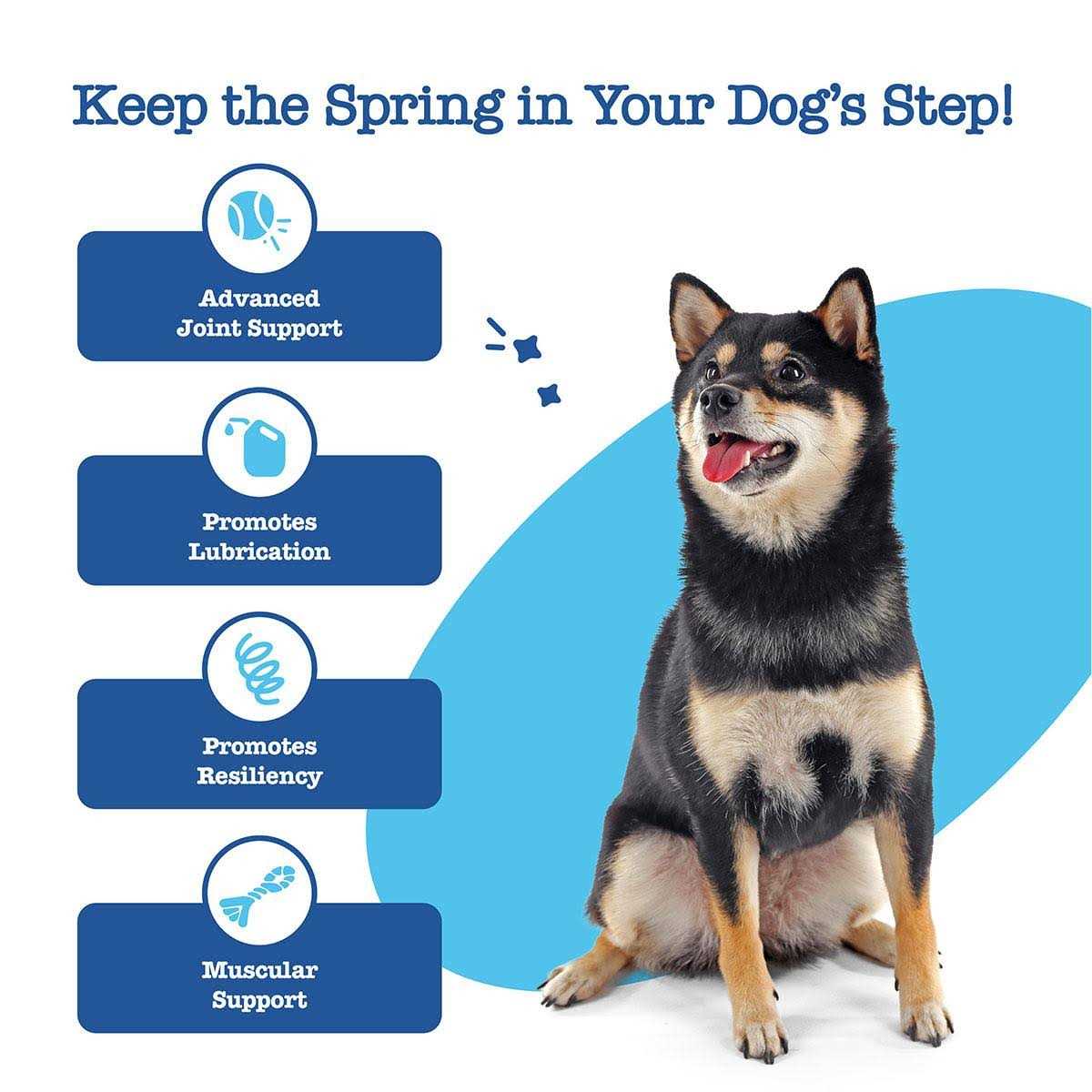 Hip Joint Mobility Bites for Senior Dogs F1017