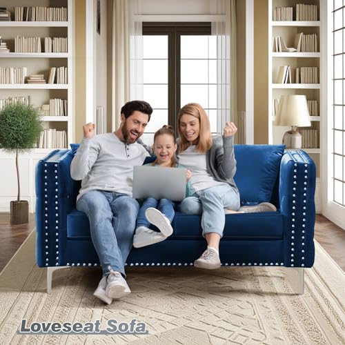 Velvet Loveseat Sofa for Living Room, 59 Inch Modern Upholstered with Pillows, Black A995