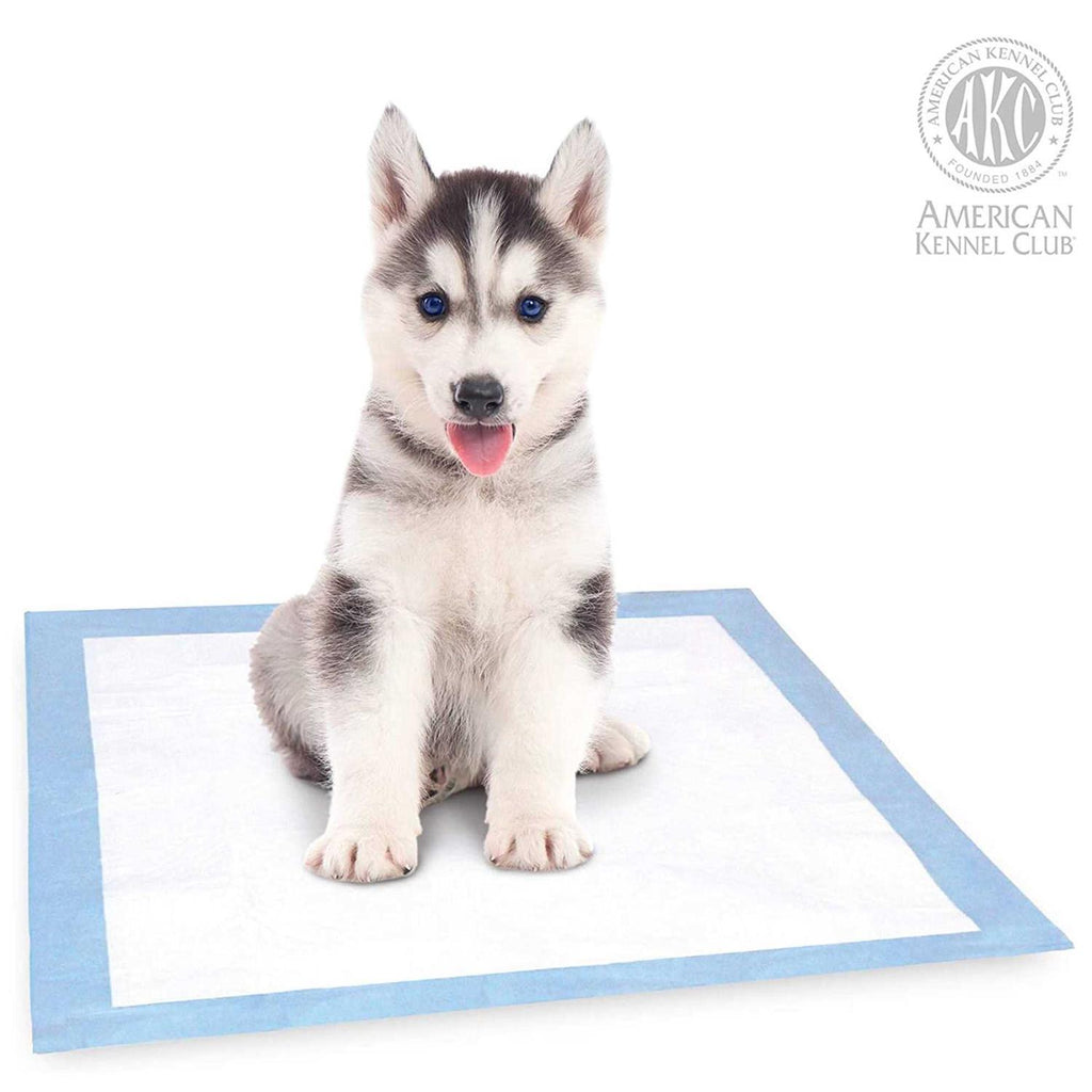 Training Pads for Dogs I74598