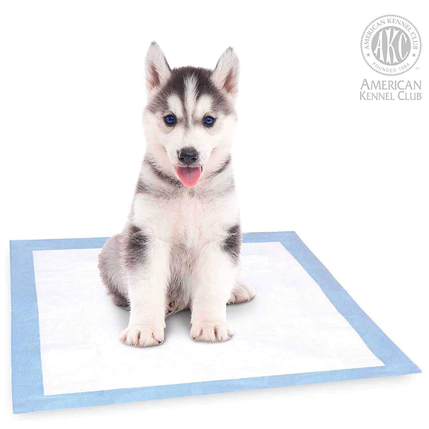 Training Pads for Dogs I74598