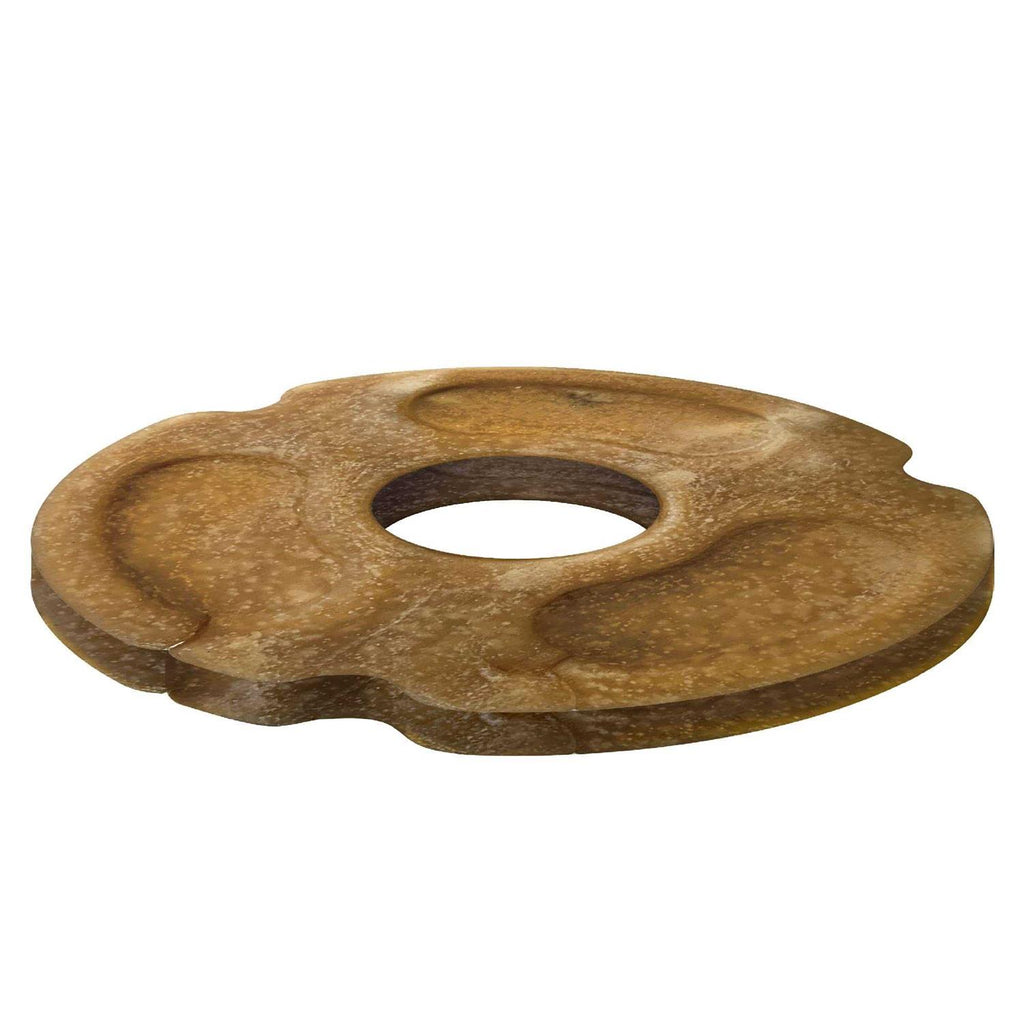 Chicken Flavored Dog Treats Disc Blaster T5688