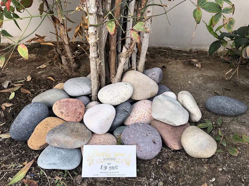 Large Mixed Mexican Stone Beach Pebbles 3-5 inches for Garden Landscape I9269