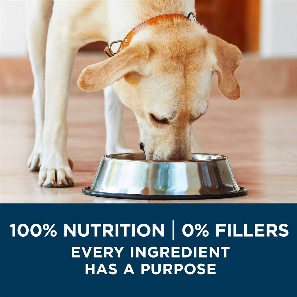 Large Breed Adult Dry Dog Food X237