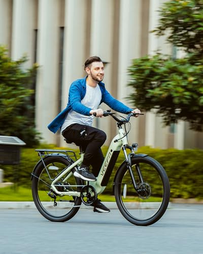 Electric Bike for Adults 27.5" 750W Peak Motor 80 Miles Range X2830
