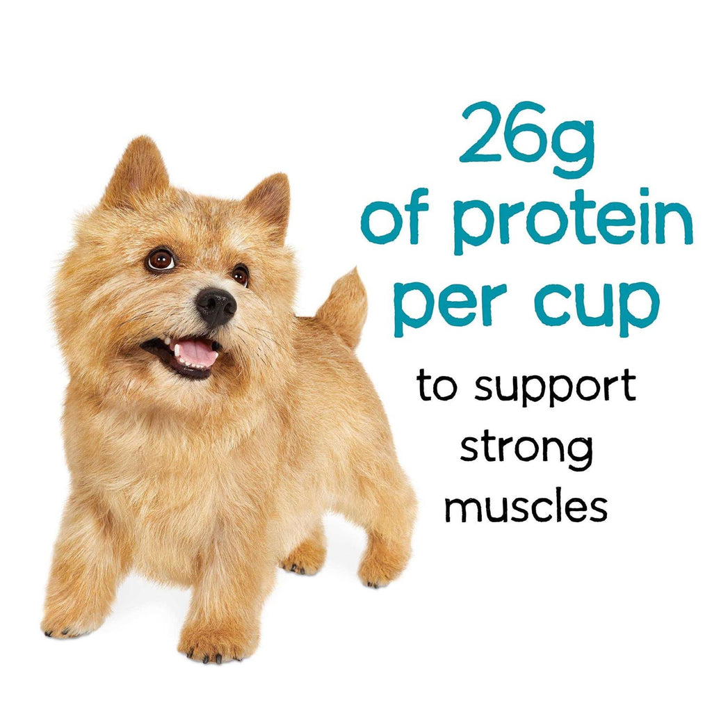Beef Dry Dog Food A6892