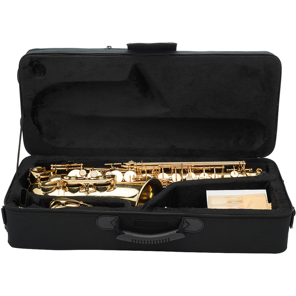 Intermediate Alto Saxophone with Case P9333