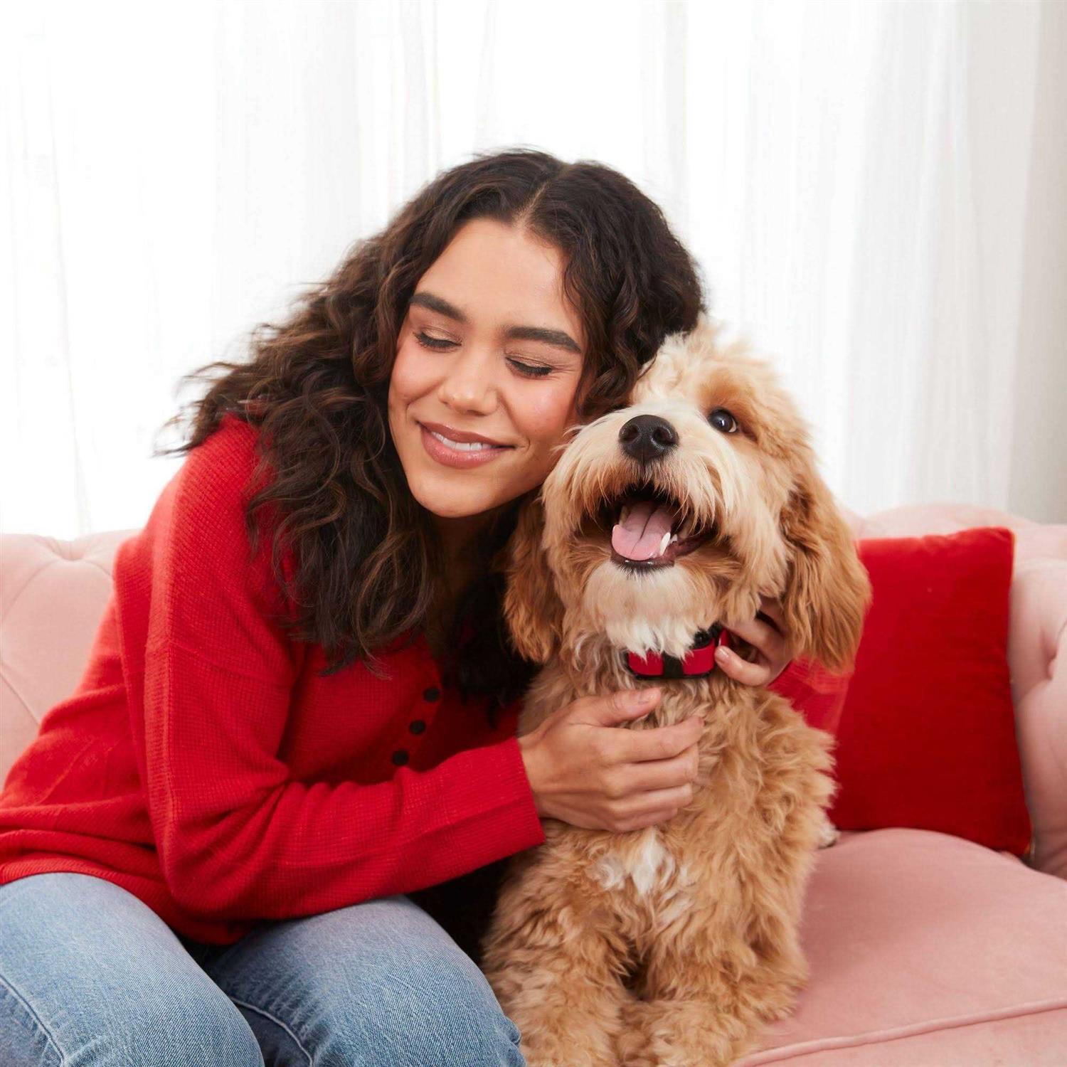 Soft & Chewy Dog Treats N184