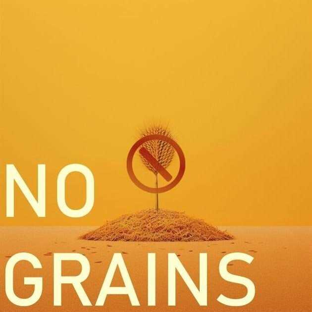Freeze Dried Chicken Cat Treats J438