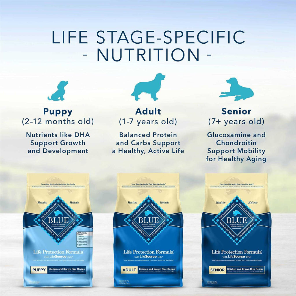 Chicken & Brown Rice Dry Puppy Dog Food T344549