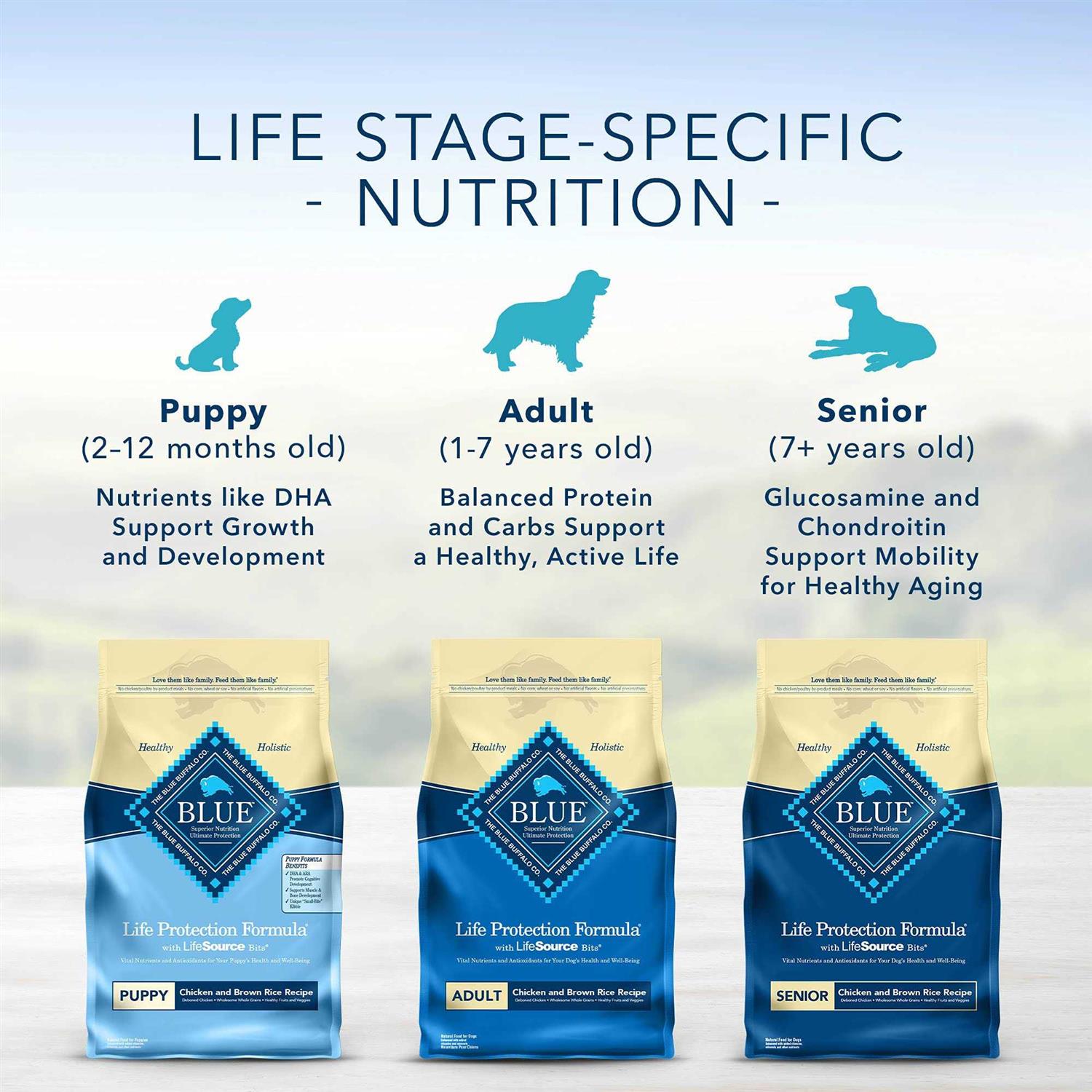 Chicken & Brown Rice Dry Puppy Dog Food T344549