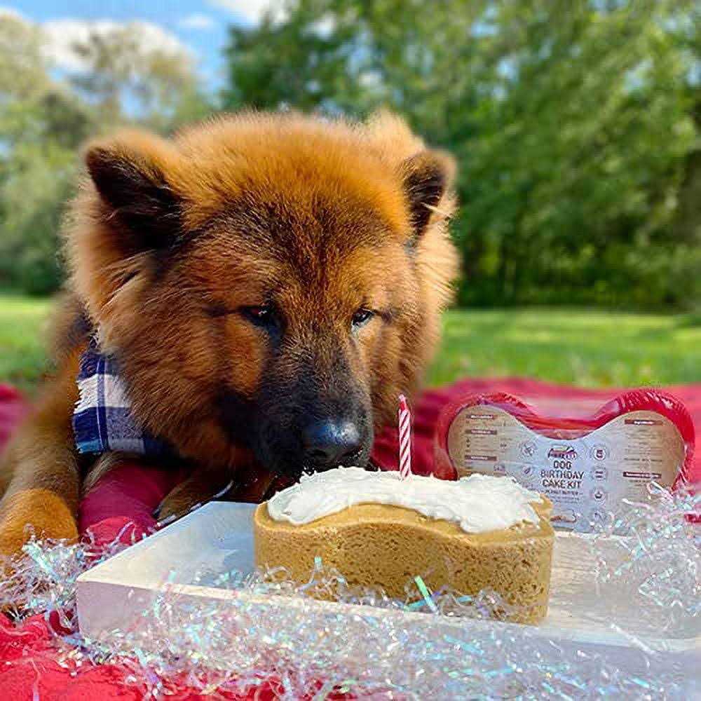 Dog Birthday Cake Kit Y26298